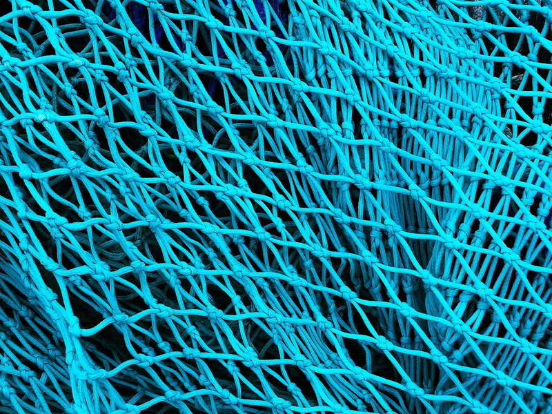 labyrinth, blue, mouth, no people, connection, white, purple, 2K, pattern, furniture, rug, textile, complexity, yarn, knot, woven, textured, close-up