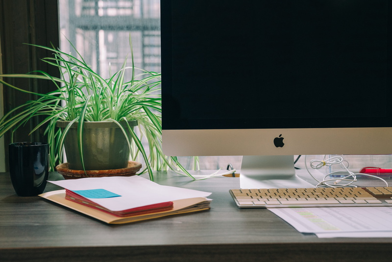 desk, 5K, communication, plant, technology, paper, table, wireless technology, tabletop, folder, pen, note pad, home interior, white, nature, furniture