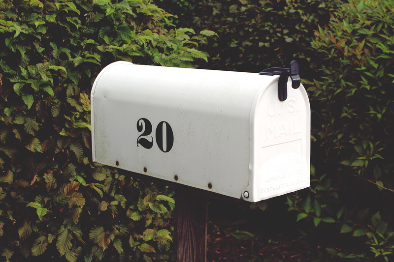 sign, mailbox, mail, inbox, green plants, plant part, black, message, no People, growth, send, 4K, gray, green, leaves, metal, plant, plants, green color