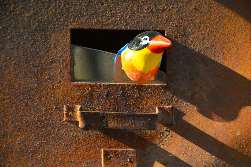 brown, parrot, message, no people, shadow, rust, one animal, close-up, sunlight, container, shadows, mail, postbox, animal wildlife, rustic, traditional