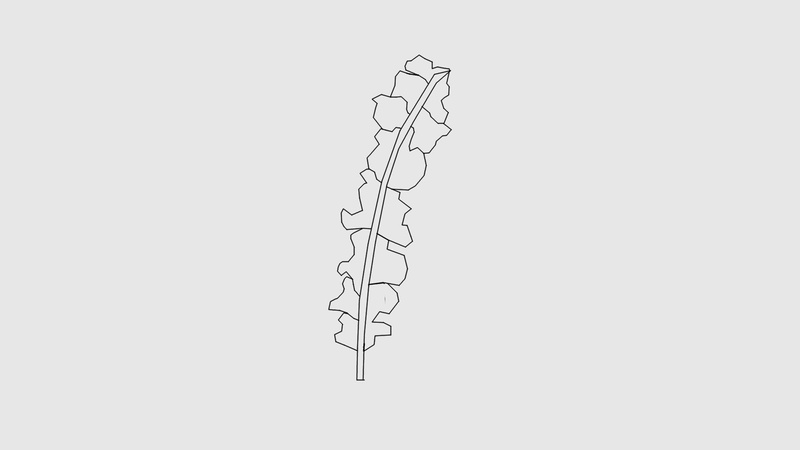 art and craft, drawing - art product, single object, paper, feathers, 1080P, sketch, white background, pattern, indoors, copy space, no people, office