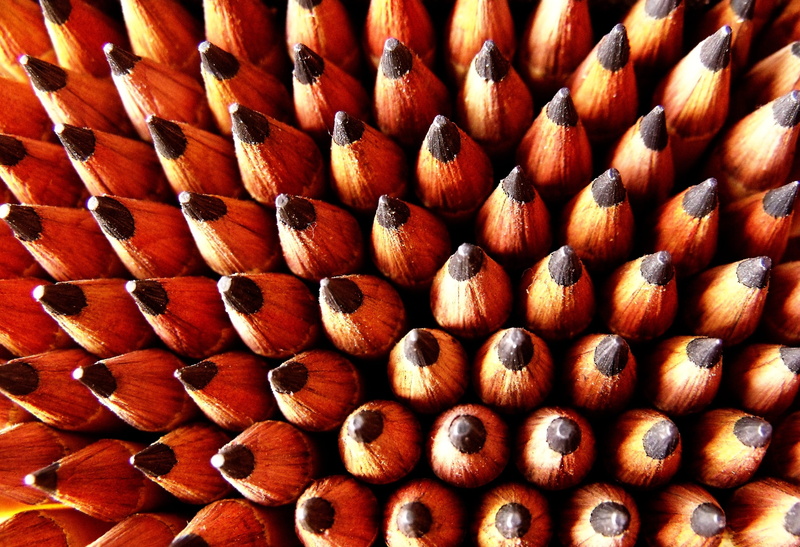 backgrounds, textured, selective focus, design, pattern, close-up, large group of objects, full frame, day, supplies, photography, brown, many, arrangement