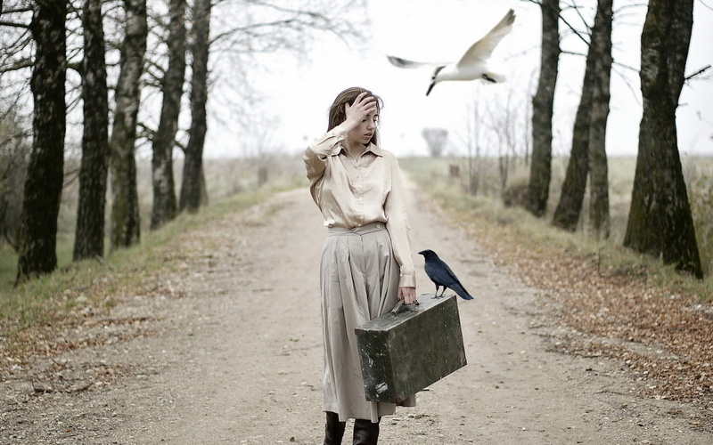 brunette, birds, suitcase, women outdoors, women, animals, trees, 720P