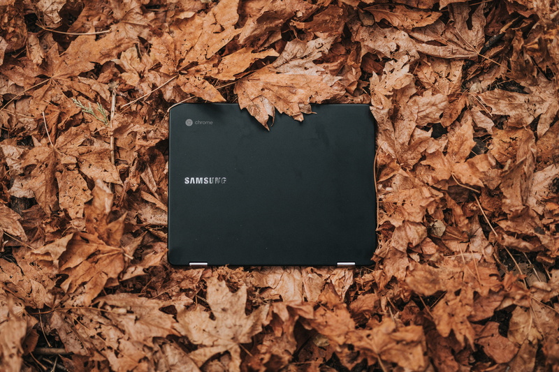 plant part, black color, day, board, leaves, brown, laptop, dry, computer, close-up, no people, fall, western script, communication, google chromebooks