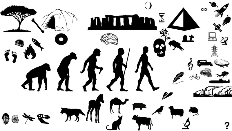 History, Artistic, Timeline, 1080P, Evolution