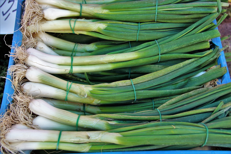 vegetables, basket, no people, raw food, volume, sale, onion, products, day, healthy, food and drink, onions, farmers markets, fresh, green, for sale, vegetable