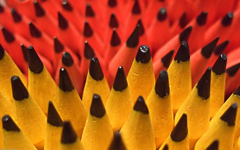 pencils, 1080P, tree, stylus