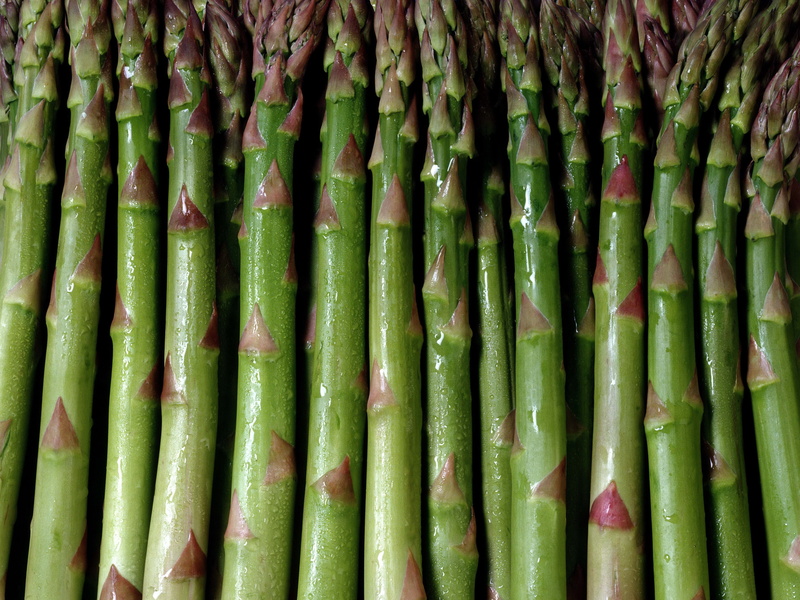 food, for sale, vegetable, ingredient, day, asparagus, healthy Eating, gourmet, full frame, retail, ripe, close-up, backgrounds, dieting, background, bunch