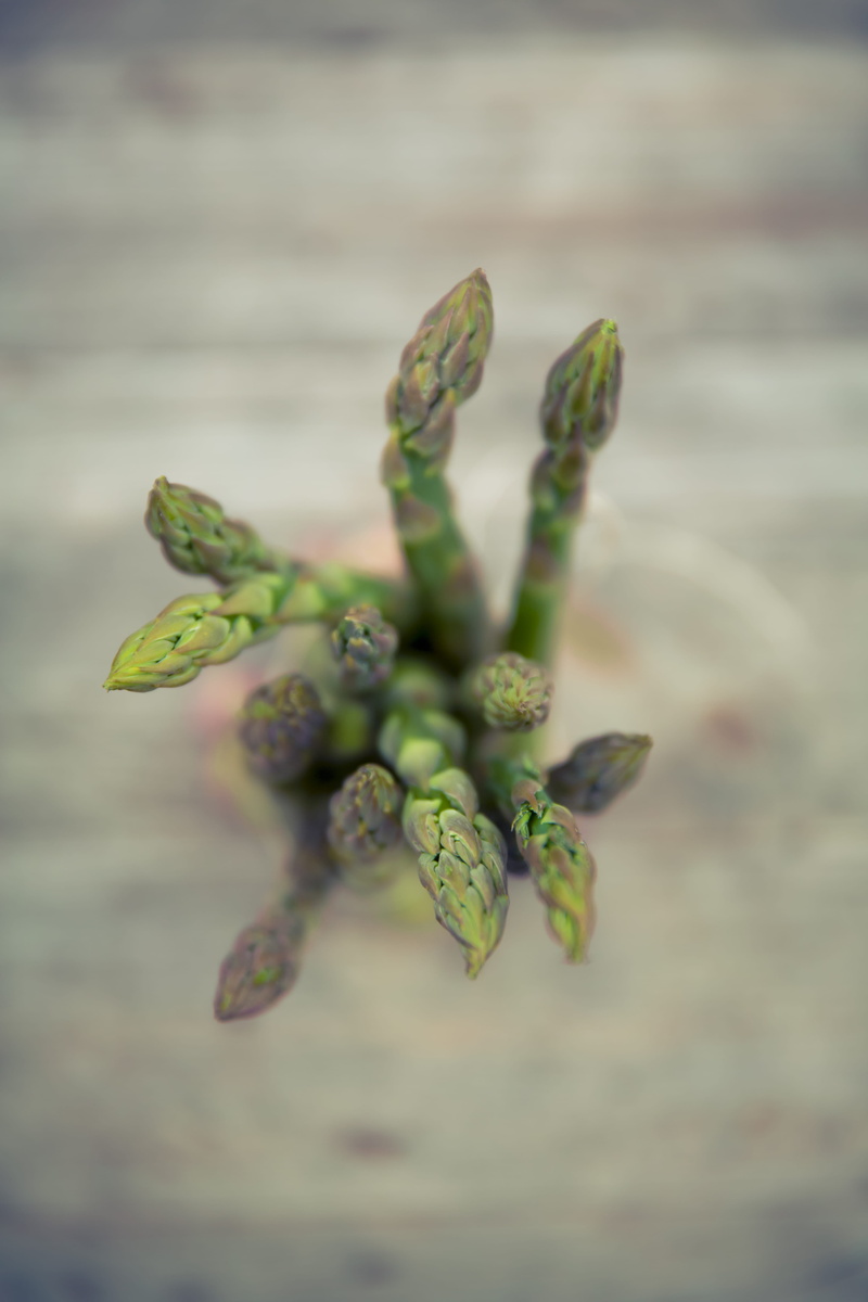 organic, close up, flower, plant part, leaf, wellbeing, 5K, plant, focus on foreground, vegetables, close-up, healthy eating, Fresh, outdoors, green Color