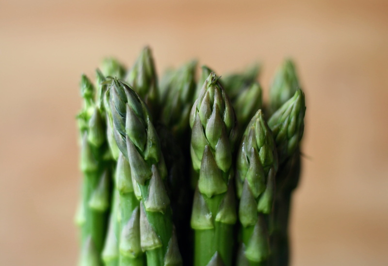 green Color, focus on foreground, bundle, still life, healthy Eating, growth, blur, close-up, food And Drink, indoors, gourmet, 2K, wellbeing, spear, colored background