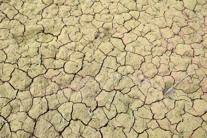 scenics - nature, Heat, dry, environment, full frame, Weather, climate, mud, nature, textured, ground, drought, outdoors, arid climate, cracked, Dirt, field