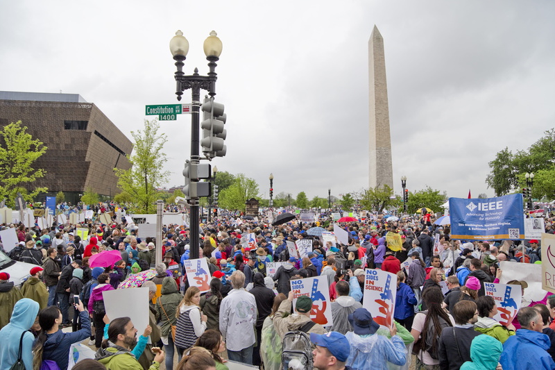 people, rally, outdoors, nature, united states, plant, northwest washington, lifestyles, crowd, tall - high, tourism, travel destinations, city, architectural column