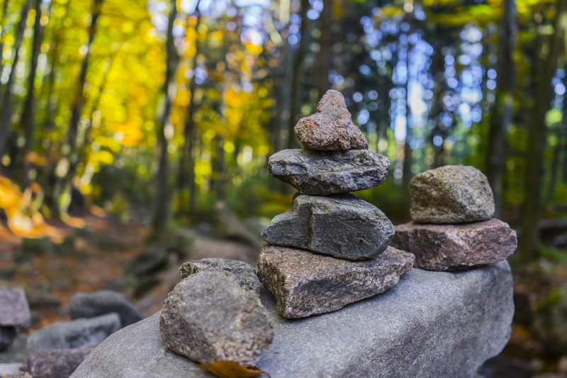 focus on foreground, tree, 5K, day, landscape, rocks, stones, rock, nature photography, outdoors, pebble, tranquil scene, close -up, blurred background