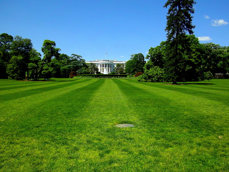 4K, land, white house, beauty in nature, day, house, tree, sky, summer, america, washington, green, usa, blue, power, building exterior, nature, landmark