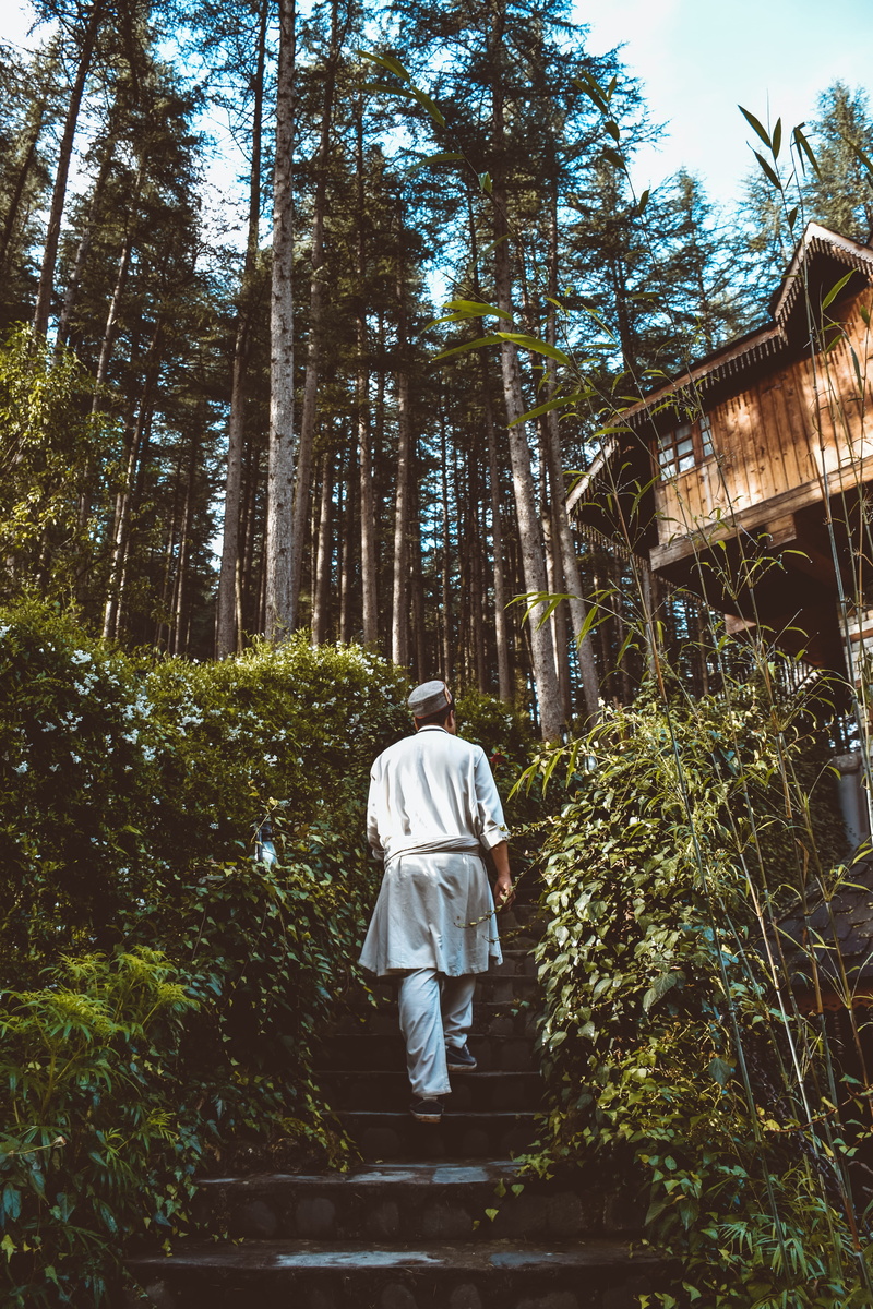 shoe, adult, built structure, morning, top, himachal, housing, stairs, standing, green, forest, tree house, day, architecture, building, outdoors, white