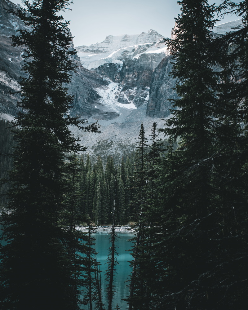 no people, gray, high, lake, winter, plant, foggy, cold, mountain peak, coniferous tree, flowing water, beauty in nature, ice, white, cornflakes, 5K, mountain