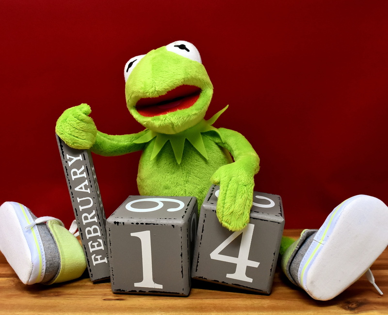 wooden blocks, animal, medium group of objects, colored background, valentines day, affection, cute, group of objects, month, text, plush, still life, loving