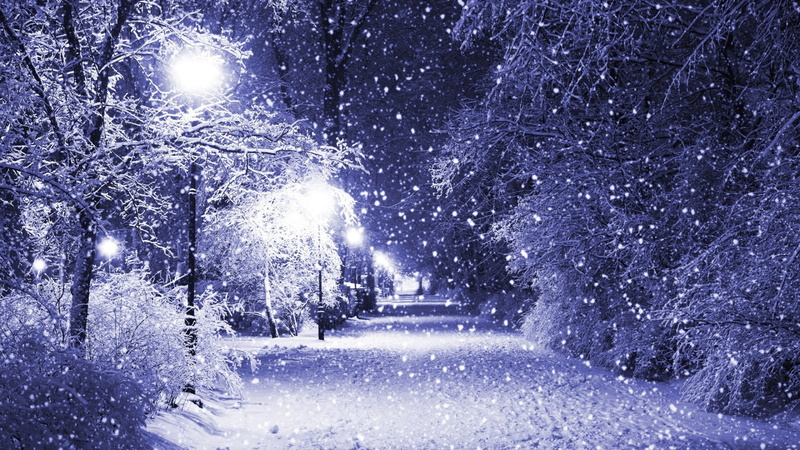 park, photography, lights, filter, winter, 1080P, trees