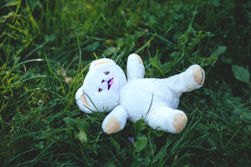 close-up, grass, focus on foreground, stuffed toy, nature, abandoned, cute, stuffed animal, toy, plant, no people, high angle view, day, animal representation