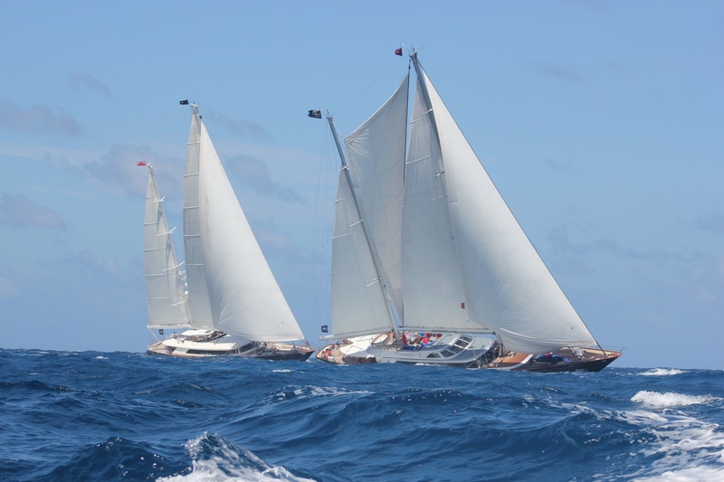 beauty in nature, luxury, sea, travel, yacht, canvas, browse, day, transportation, pole, outdoors, mode of transportation, sport, no people, navigation