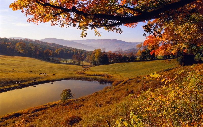 growth, multi Colored, orange Color, environment, color Image, mountain, idyllic, 1080P, forest, pond, pasture, field, water, colors, scenics - nature