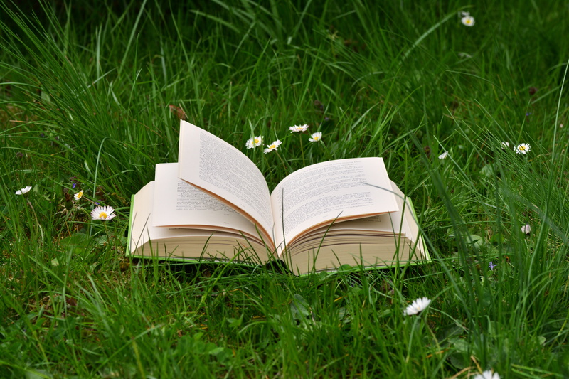 meadow, education, selective focus, green, nature, field, page, growth, publication, browse, read relax, day, daisy, close-up, creativity, high angle view