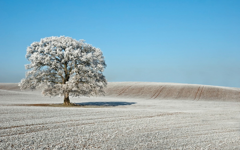720P, landscape, isolated, beauty in nature, green, blue, frost, loan, nature, tranquility, land, day, tree, no people, plant, outdoors, non-urban scene