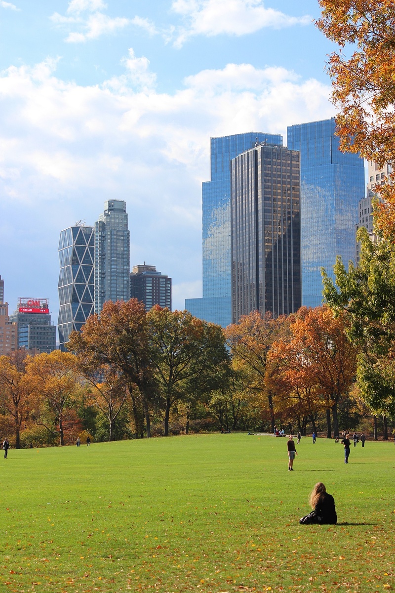 downtown, central park, cloud - sky, new York City, park - Man Made Space, sky, landscape, urban Skyline, park, autumn, landmark, urban Scene, field, new york