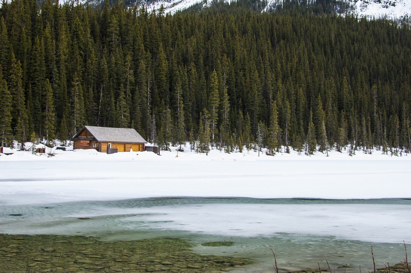 tree, lake, architecture, growth, house, tranquility, cabin, leaf, outdoors, brown, wooden, scenics, built structure, covered, plant, near, sky, cold temperature