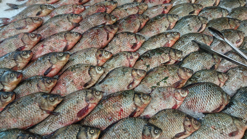 salted, 4K, product, a lot, backgrounds, market, shop, food, fish market, carp, retail display, animals, catch of fish, fresh, products, seafood, retail