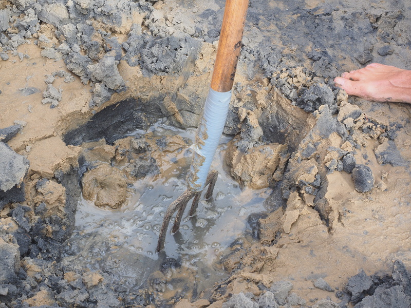 real people, nature, expert watt leader, watt worm search, land, watts, schlick, lugworm, water, high angle view, human hand, rock - object, feet, solid
