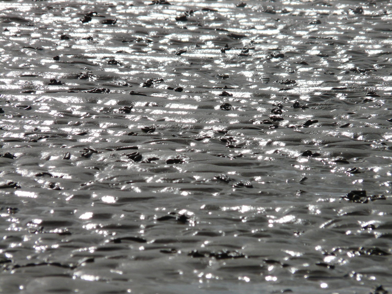 no people, 2K, selective focus, water, sand, reflection, nature, world natural heritage, coasts, national park, sunlight, waterfront, pattern, watt worm pile
