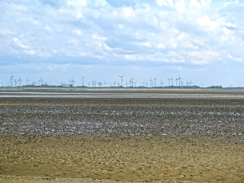 environment, germany, mecklenburg, sand watt, windräder, environmental conservation, agriculture, sea, Ebb, tranquility, schlick, sky, cloud - sky, North Sea