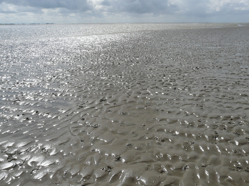back light, sand watt, water, sparkle, mecklenburg, Wadden Sea, beauty in nature, wave, scenics, sunlight, national park, tranquility, horizon, non-urban scene