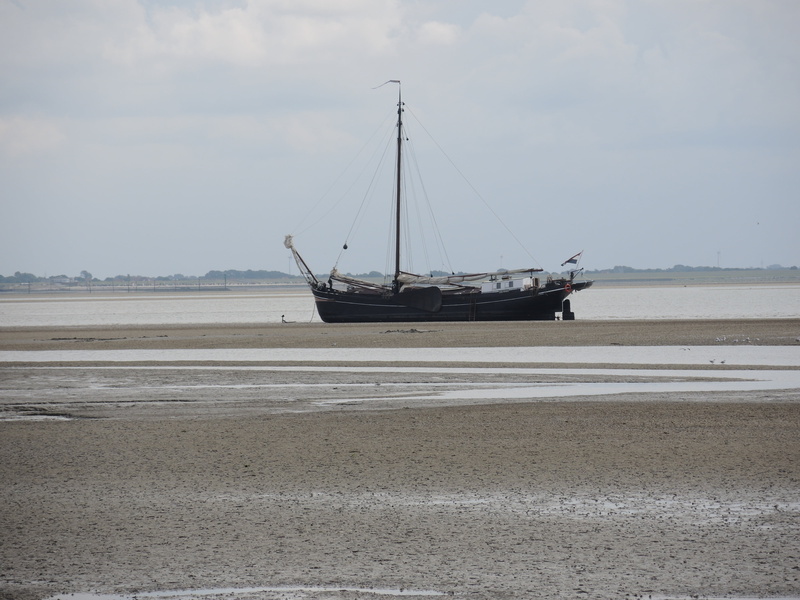 baltrum, sand, pril, national park, nautical vessel, anchored, sea, sky, beauty in nature, transportation, wadden sea, watts, sailboat, beach, mode of transportation