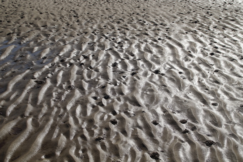 low tide, outdoors, no people, 5K, background, coast, day, land, mud, tranquil scene, backgrounds, beach, tranquility, water, close up, pattern, tides