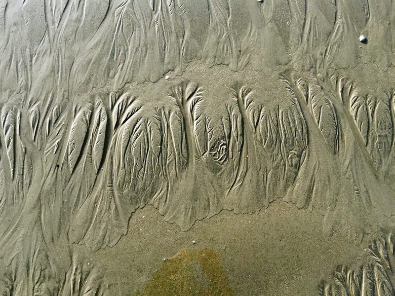 pattern, Sand, northern sea, island, tree, natural pattern, sand, coast, Beach, Wadden Sea, beauty in nature, textured, 2K, baltrum, sand beach, tranquility