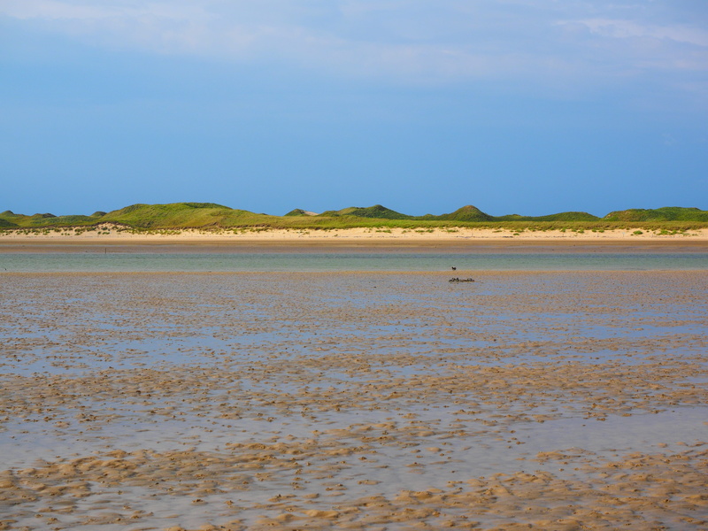 beauty in nature, watt area, low tide, watts, sea, plant, idyllic, shallow, outdoors, islands, hike in the wadden, tidal creeks, blue, watt hike, non-urban scene