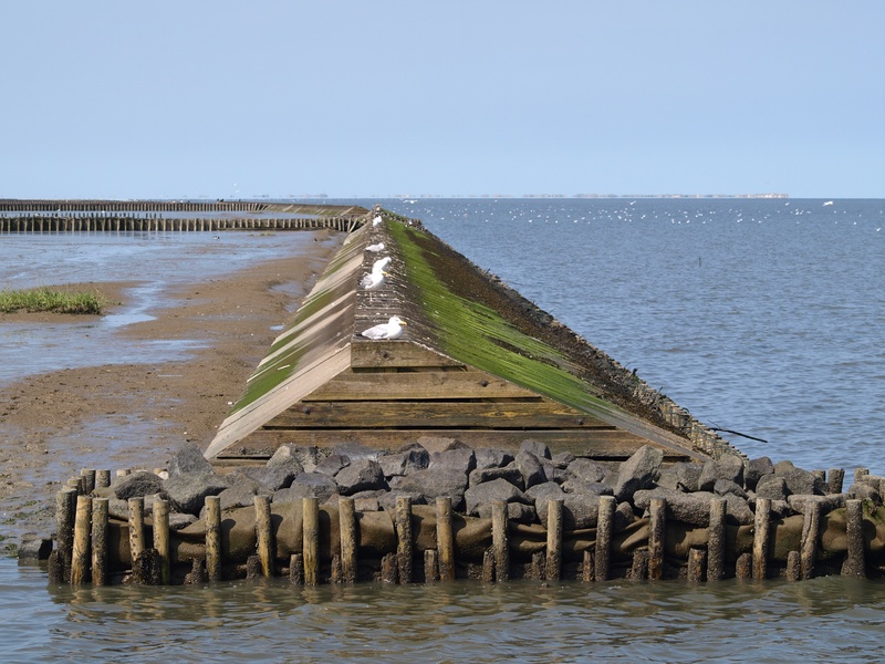 architecture, built structure, ebb, in a row, tranquil scene, 2K, no people, beauty in nature, east frisia, nature, groyne, north sea, water, sea, beach