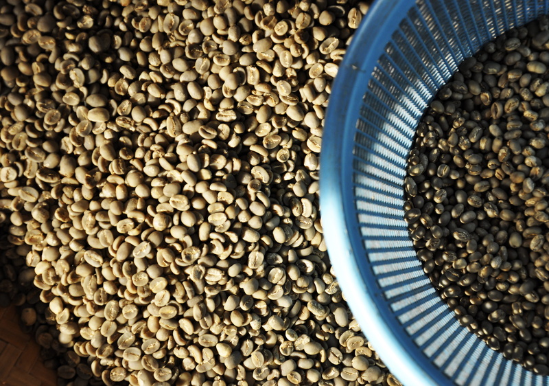 info toraja, food and drink, 4K, no people, market, sunset, coffee, beans, still life, container, pattern, seed, large group of objects, indonesia, freshness