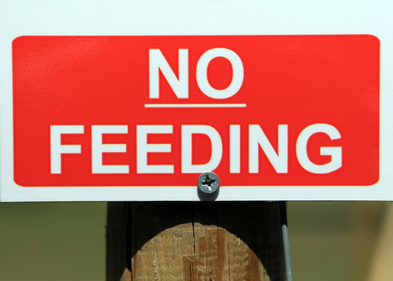 don t, no people, sign, eating, pointer, road, stop sign, close-up, information, warning, food, animal, notice, day, red, danger, capital letter, guidance