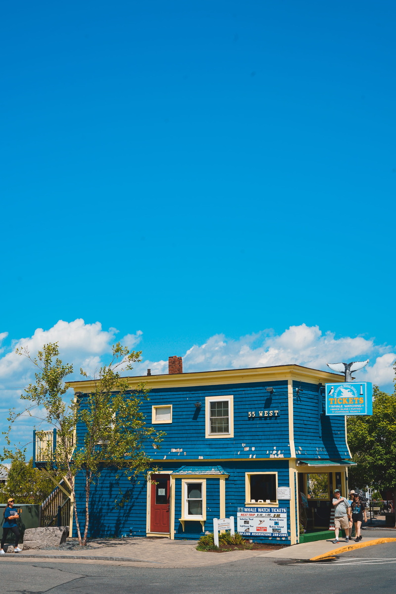 blue, incidental people, blue sky, street view, built structure, tree, architecture, ticket kiosk, blue monochrome, united states, fuel and power generation