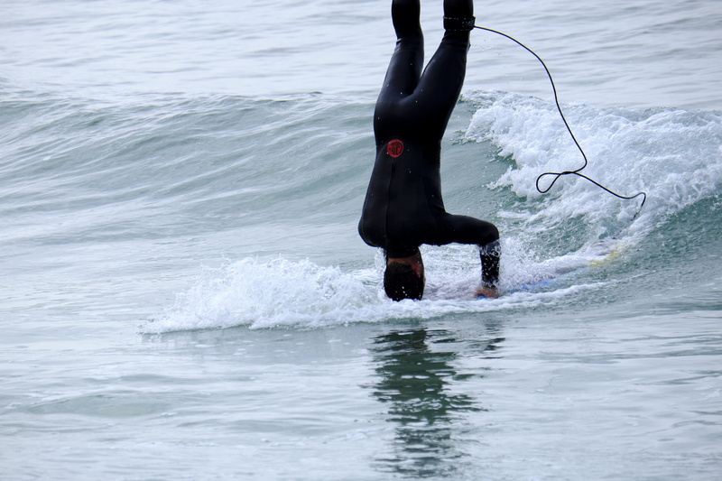 dom, upside down, balance, animal, 4K, splashing, real people, one animal, one person, mammal, skills, decision, pets, surf, outdoors, optimize, animal themes
