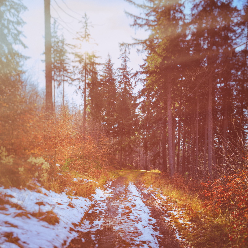 path, 2K, sobótka, autumn, sunshine, trip, road, blue, nature, optimism, the way forward, mount ślęża, outdoors, winter, autumn collection, tranquility