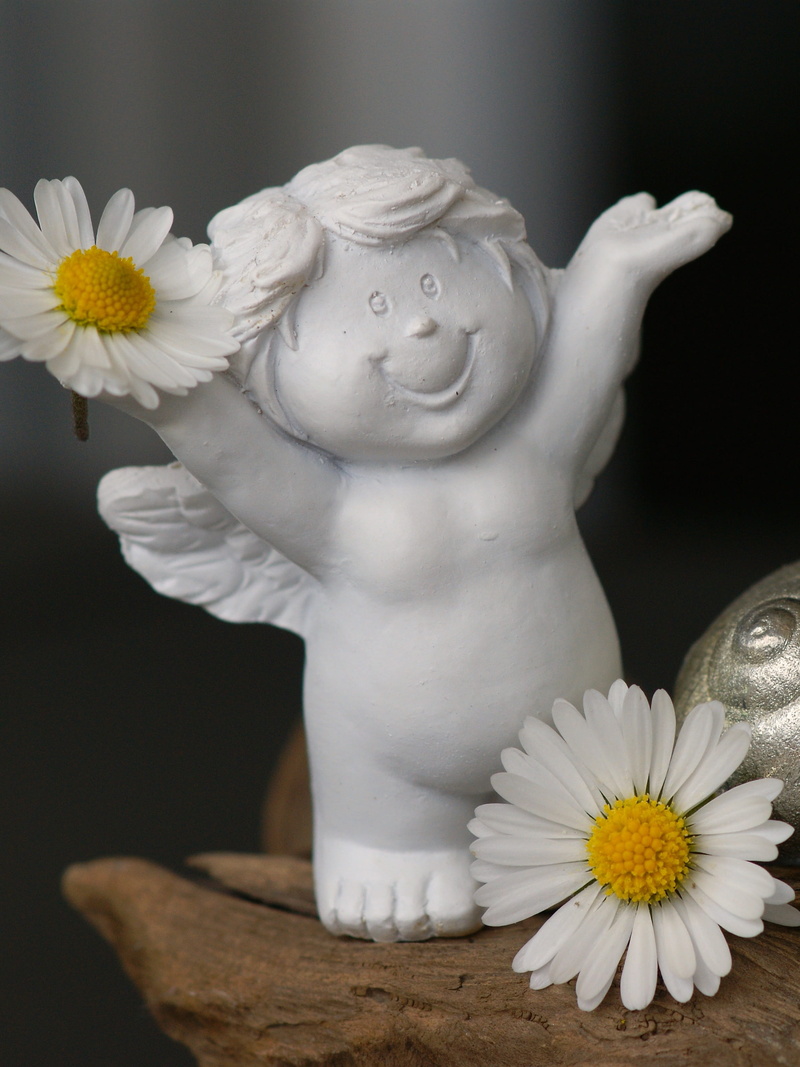 joy, plant, sculpture, flower, smilies, art and craft, flowering plant, cheerful, flower head, daisy, fun, fragility, lust for life, emotions, optimism