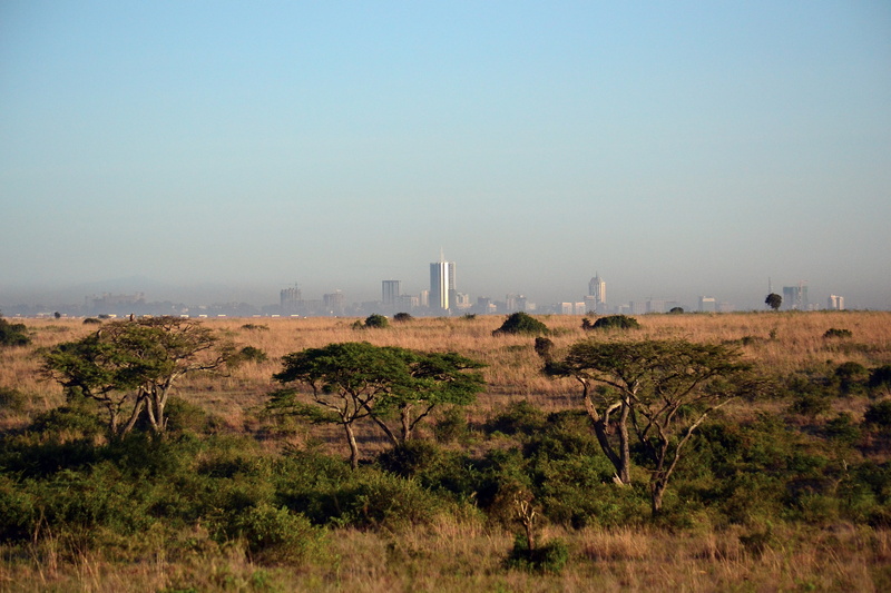 grass, tree, savanna, africa cityscape, fuel and power generation, plant, architecture, sky, nairobi, no people, environment, photography, non-urban scene