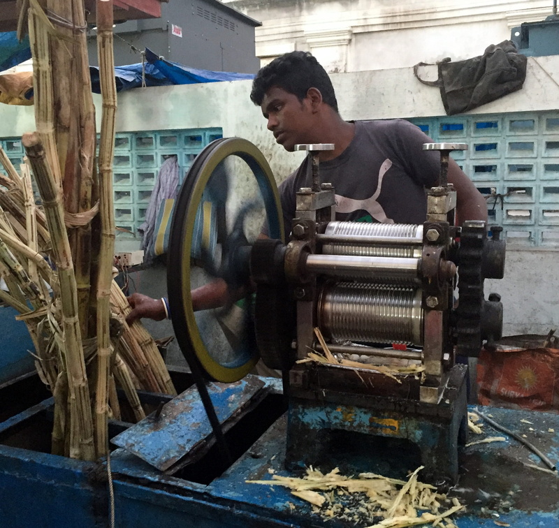 business, men, workshop, sugar cane, real people, goubert ave, indoors, sweet, one person, manufacturing, puducherry, market, pondicherry, industry, occupation