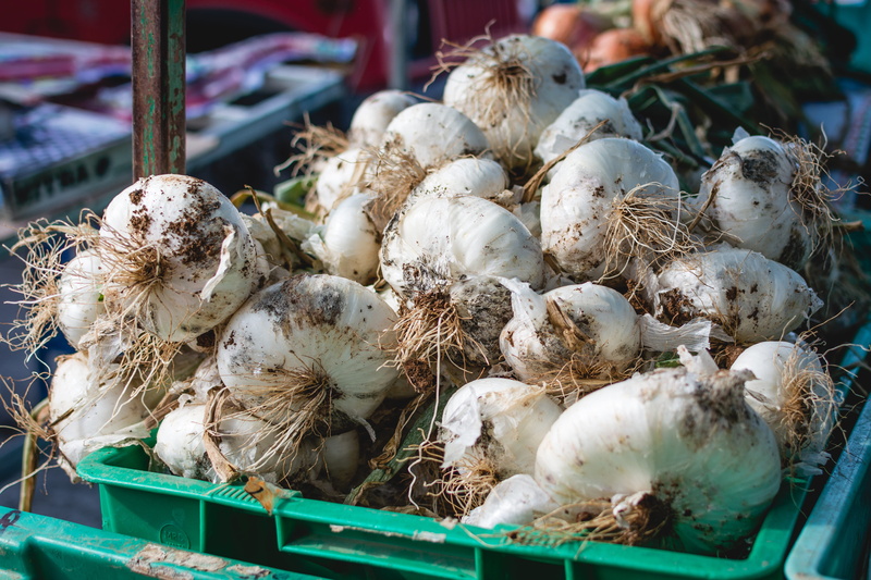 retail, garlic, raw Food, outdoors, 5K, freshness, chicken, agriculture, nature, market, vegetable, organic, domestic animals, focus on foreground, animal themes