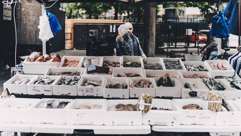 variation, day, fish market, consumerism, retail display, lifestyles, men, arrangement, for sale, street vendor, man, stall, fish stall, stand, shopping