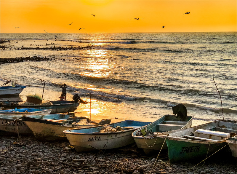nautical vessel, paradise, mexico, sunset, playa, palms, rowboat, nature, coastline, sand, beauty in nature, sky, cancun, holiday, evening, fishing, green